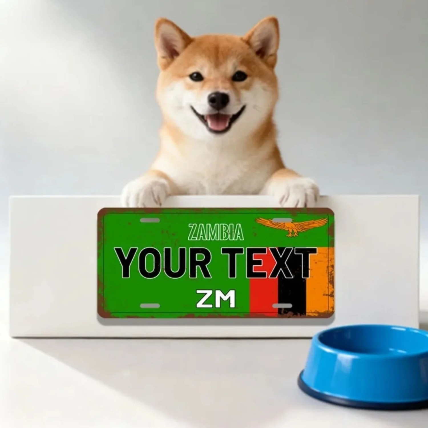Custom Personalized Zambia Alu - огляд і ціна Home Bar Signs